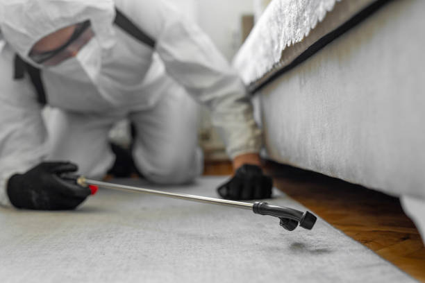 Professional Wasp Control technician working in Shawnee Hills, OH